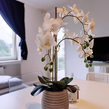 Workerslodge - Fuer 6 P In *